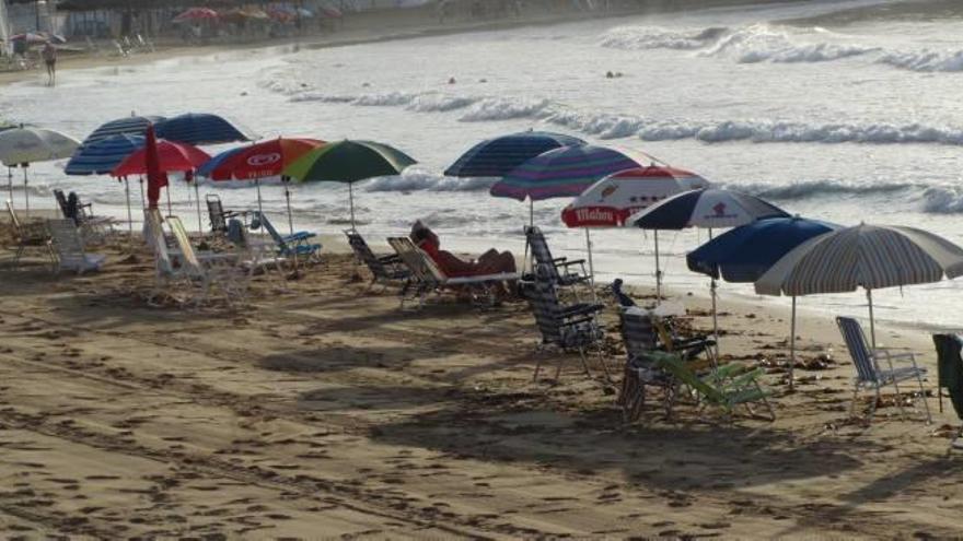 Una «pelea» palmo a palmo Paisaje de parasoles con mar al fondo