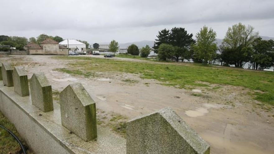 La zona del litoral de Alcabre en que se plantaron los carballos el pasado mes de febrero.