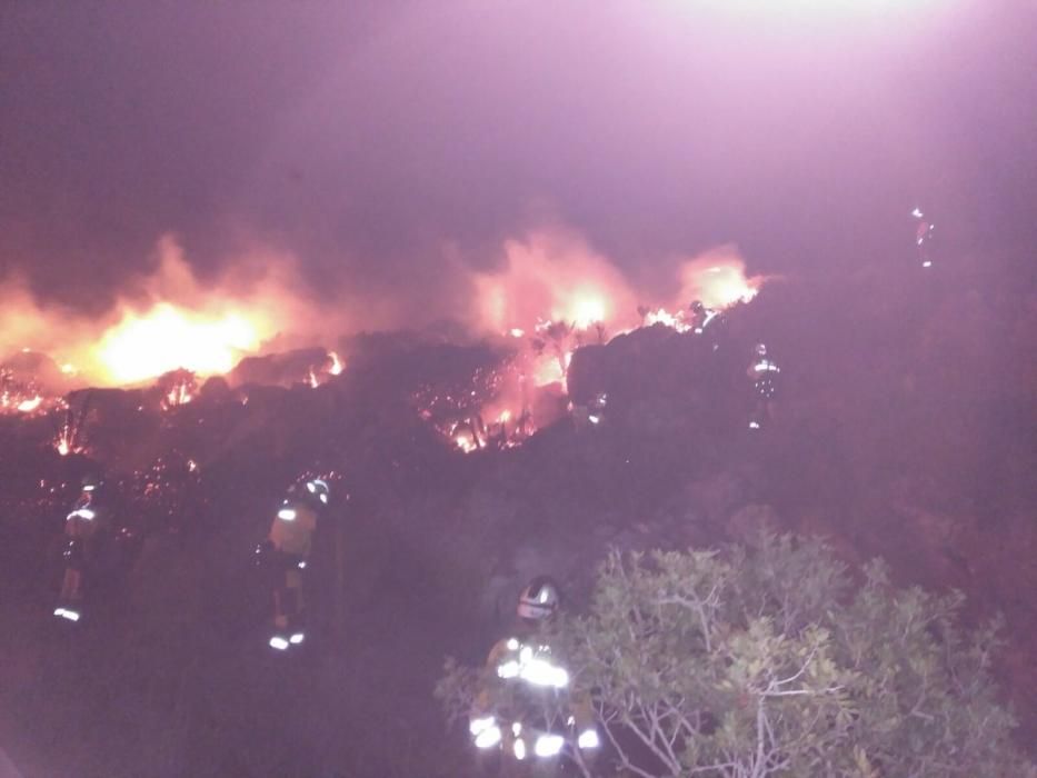 Waldbrand Pollença Mallorca