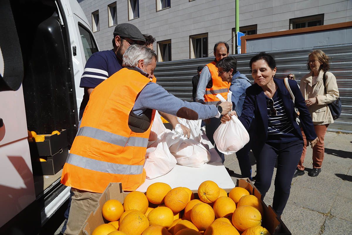 Reparto de naranjas reivindicativo de las organizaciones agrarias cordobesas