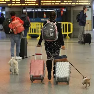 Renfe triplica los AVE semanales para viajar con perros de hasta 40 kg entre Barcelona y Madrid