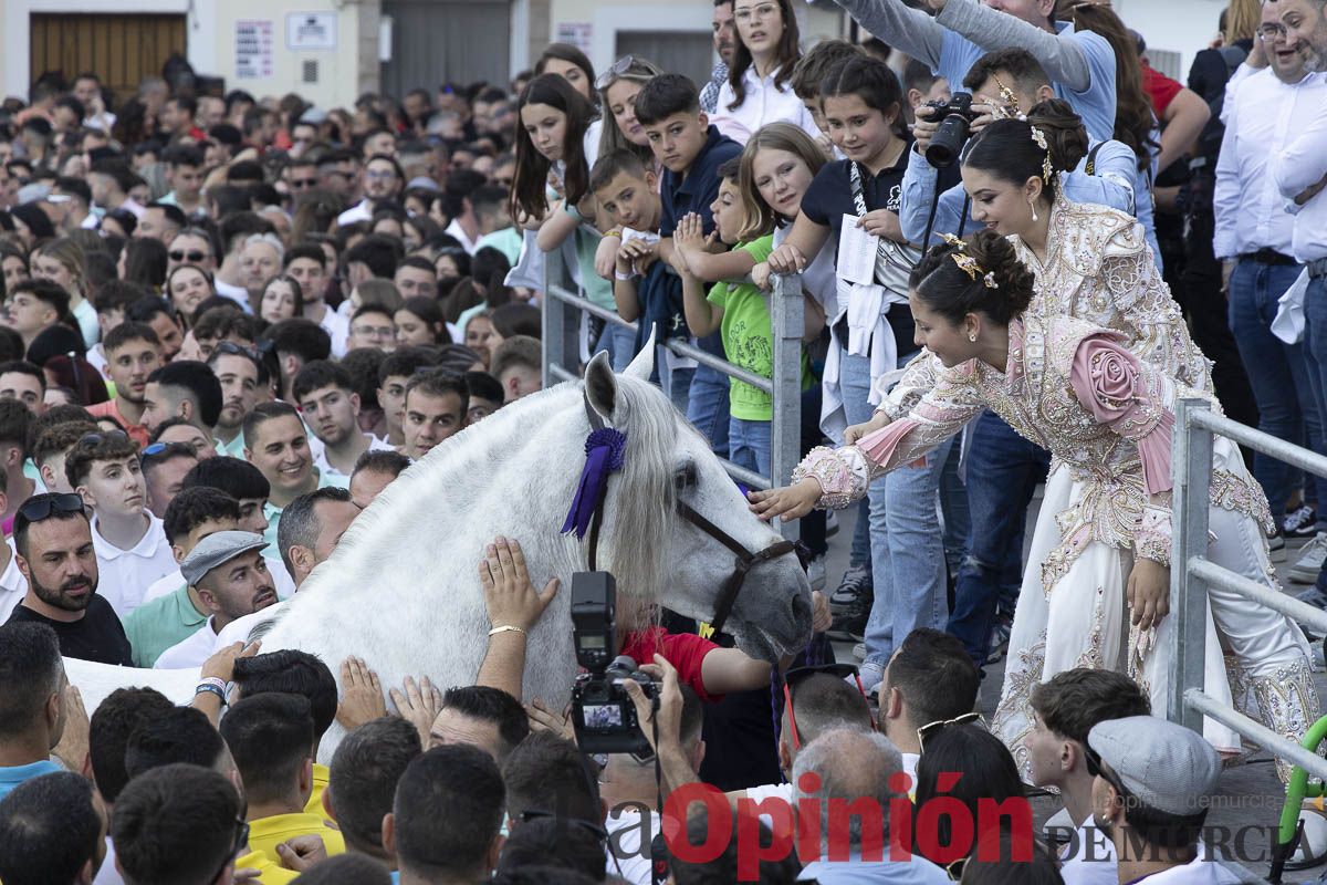 Fiestas de Caravaca | Entrega de premios del concurso morfológico