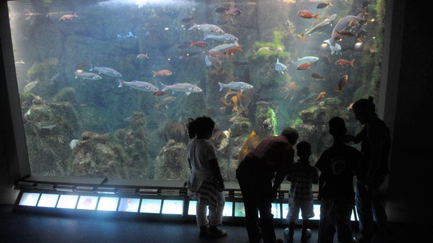 Escolares en el interior de las instalaciones del Aquarium Finisterrae.