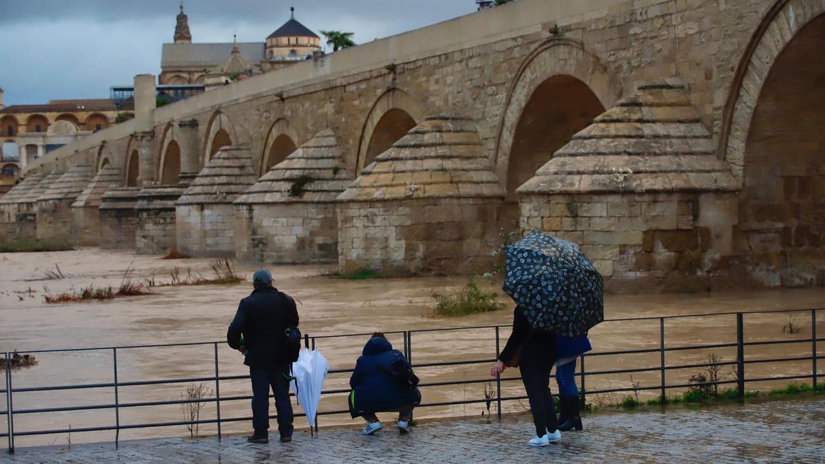 Varias personas observan el río Guadalquivir.