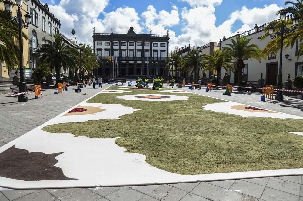 Preparación de las alfombras para el Corpus Christ