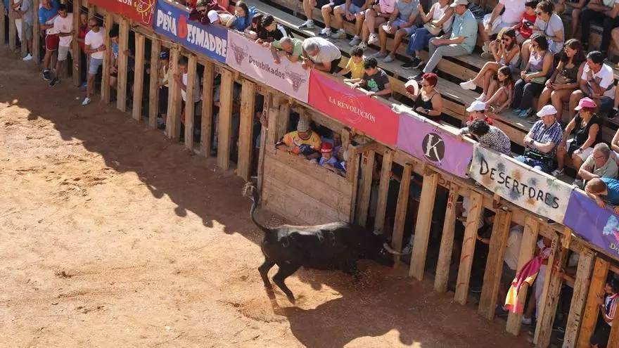 VÍDEO | Más imágenes del momento en el que un toro embiste las talanqueras de la plaza de Fermoselle