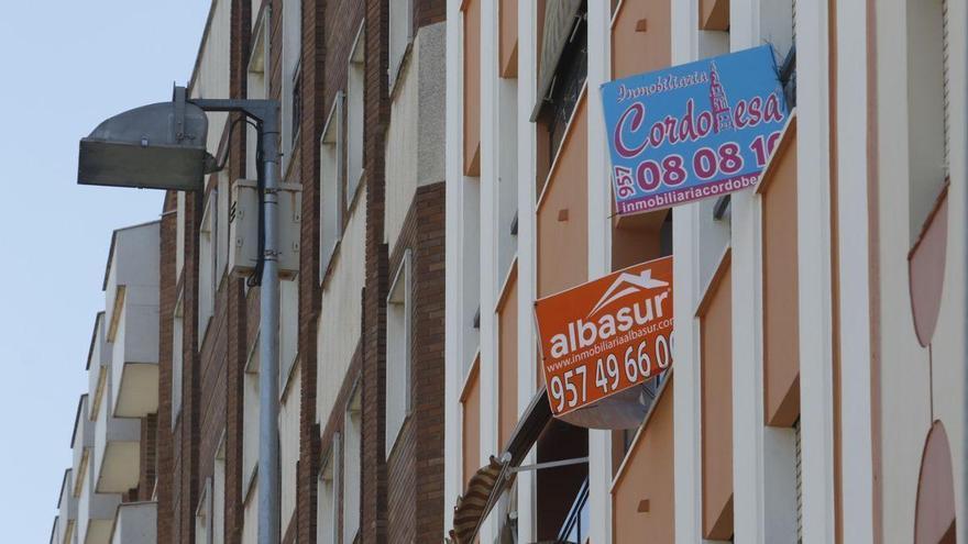 Los precios se disparan en Córdoba: piso de 30 metros cuadrados a la venta por 135.000 euros