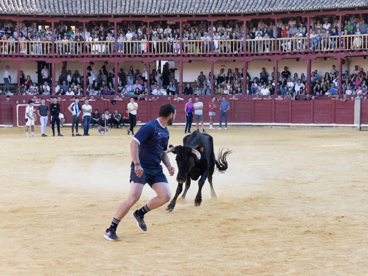 Toro del Cajón, San Agustín 2026