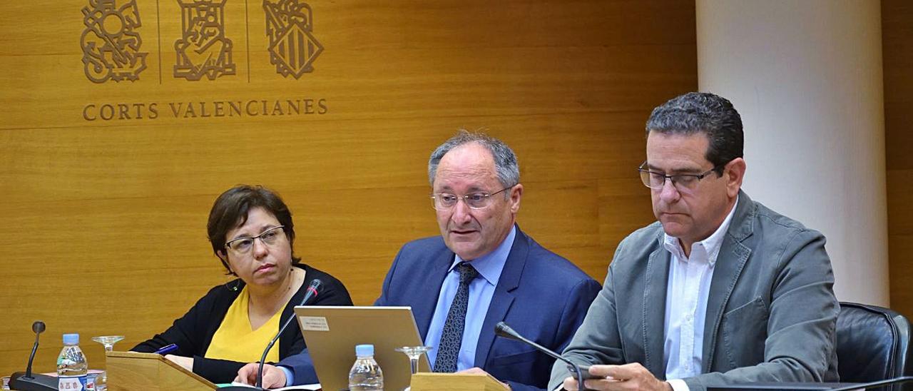 El director de la Agencia Antifraude, Joan Llinares, en el centro, en una comparecencia en Corts. | LEVANTE-EMV