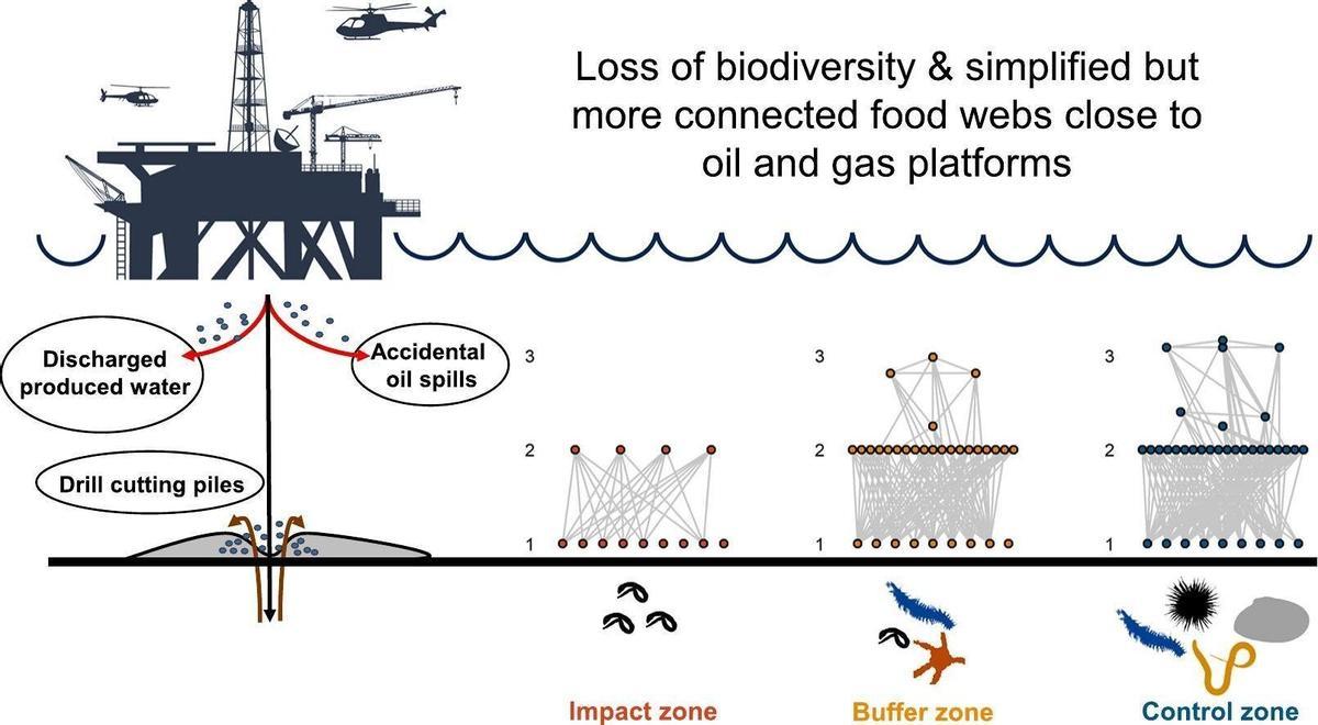 Efectos de las plataformas de extracción petróleo y gas en la biodiversidad y las redes alimentarias.