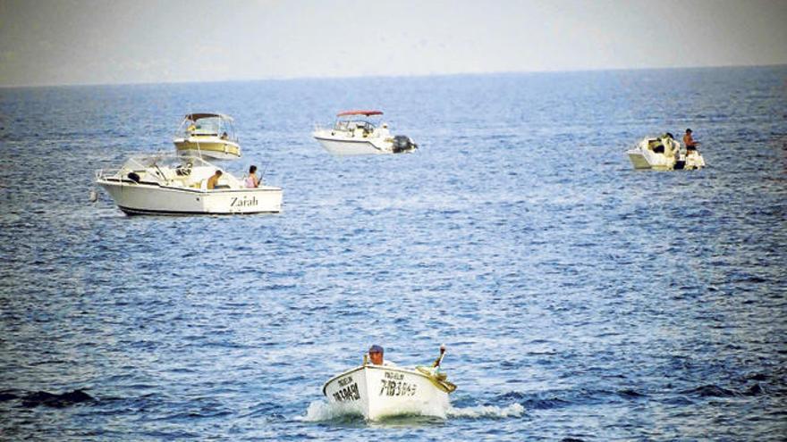 Varias embarcaciones de pequeña eslora intentan pescar ´raor´ a lo largo del litoral de es Carnatge, cerca de es Caló.