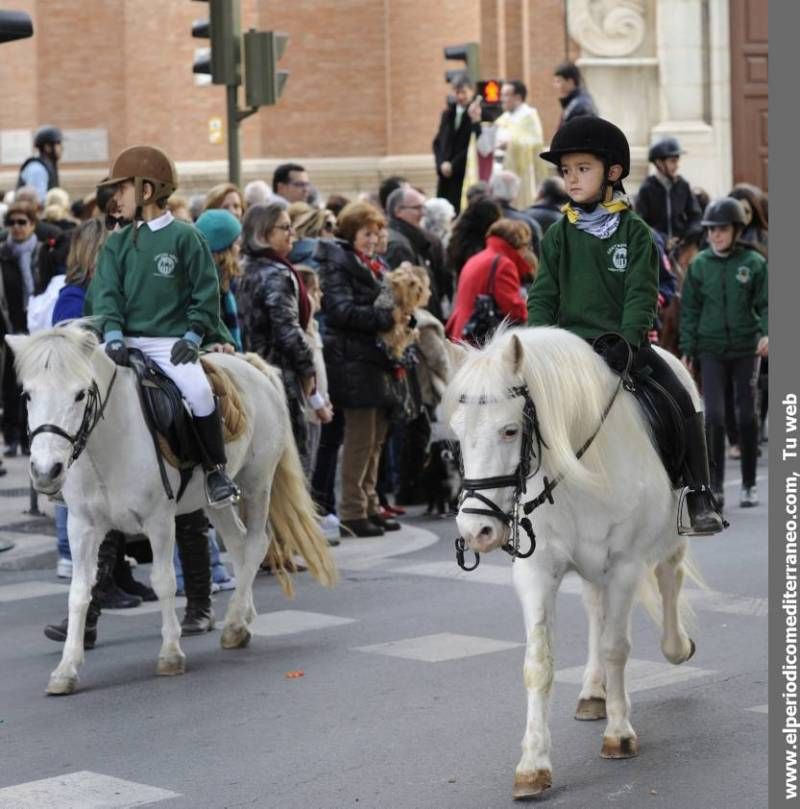 GALERÍA FOTOS - La provincia celebra Sant Antoni