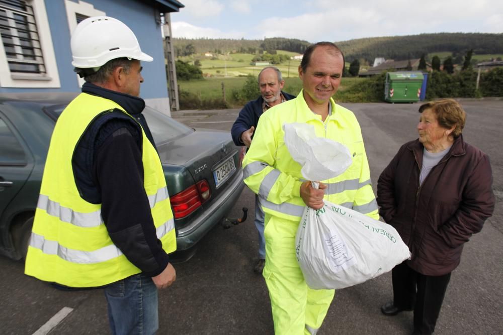 Recogida de patatas en Monteana