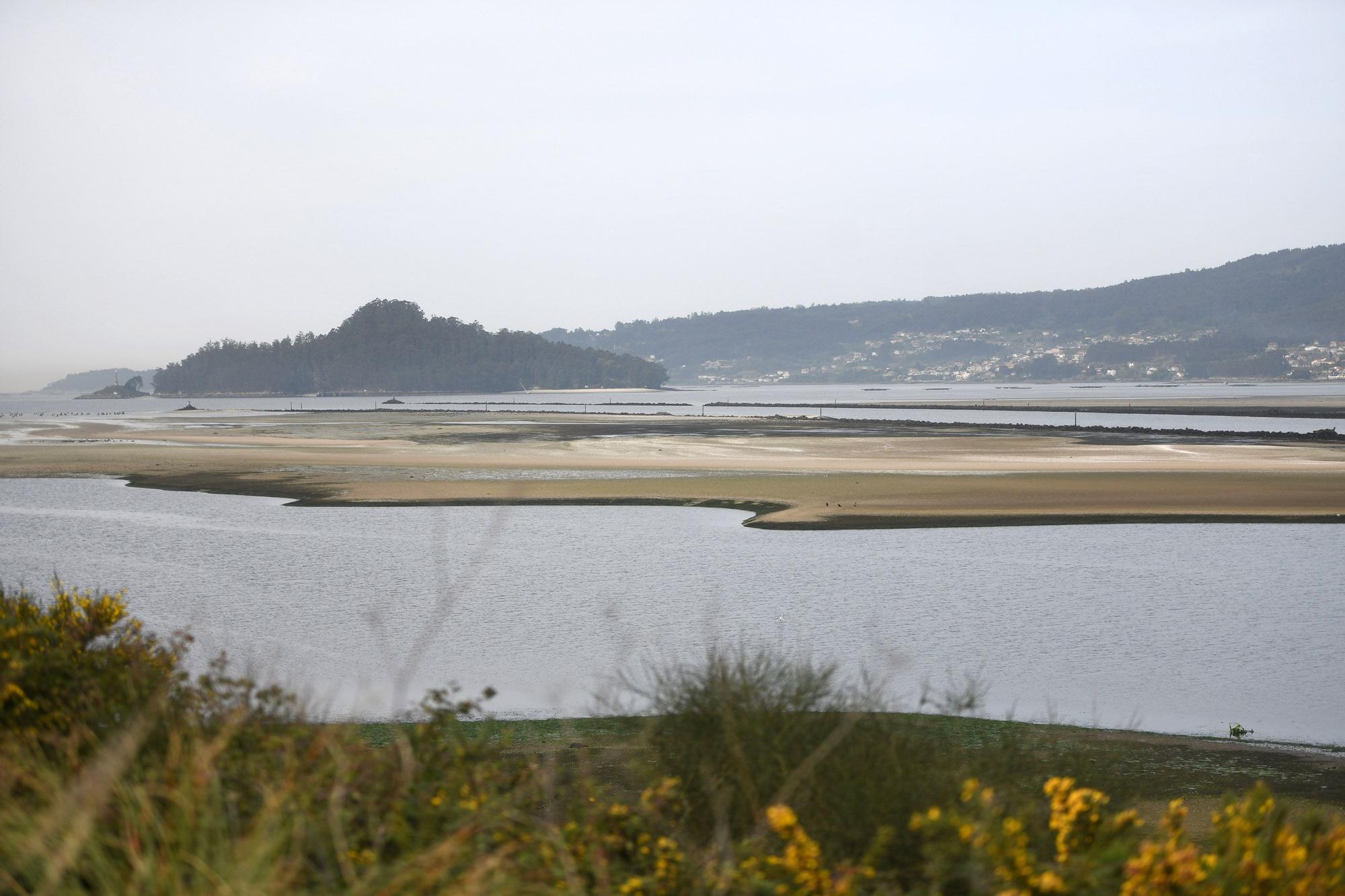 Caminando por el Lérez: las mareas vivas destapan el lecho del río