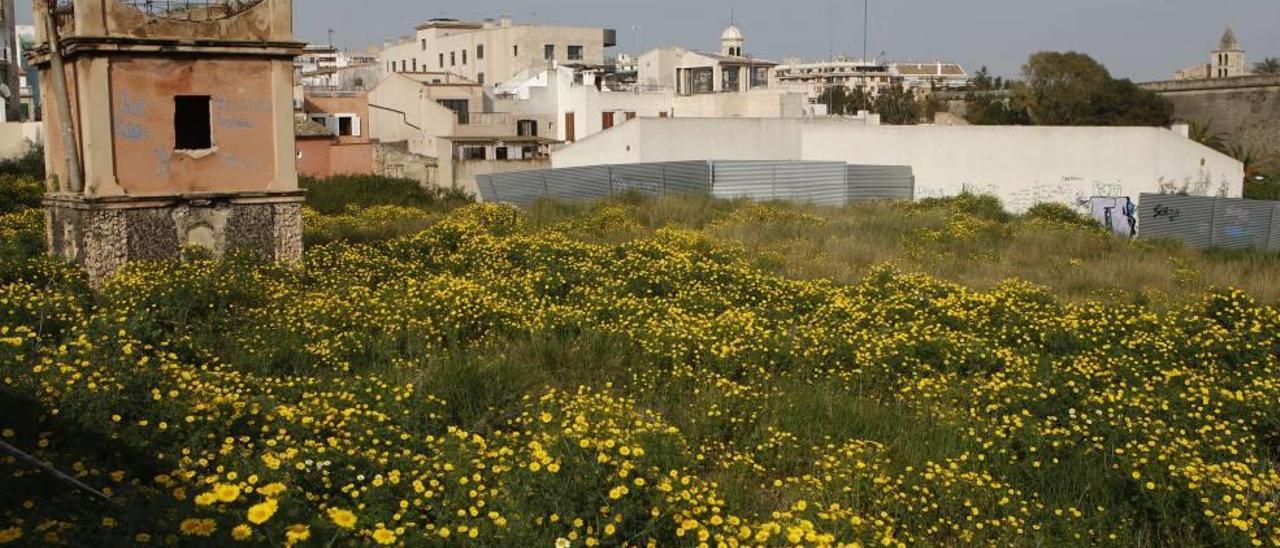 El solar Els Rentadors tendrá dos edificaciones escalonadas.