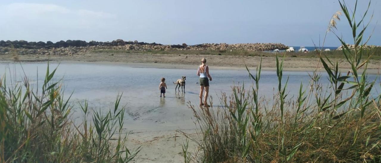 El Campello cierra al baño Cala Baeza por los continuos vertidos de fecales