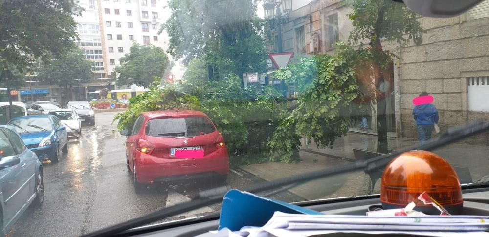 Calle Tomás Alonso, en Vigo. Un árbol cae sobre un vehículo.