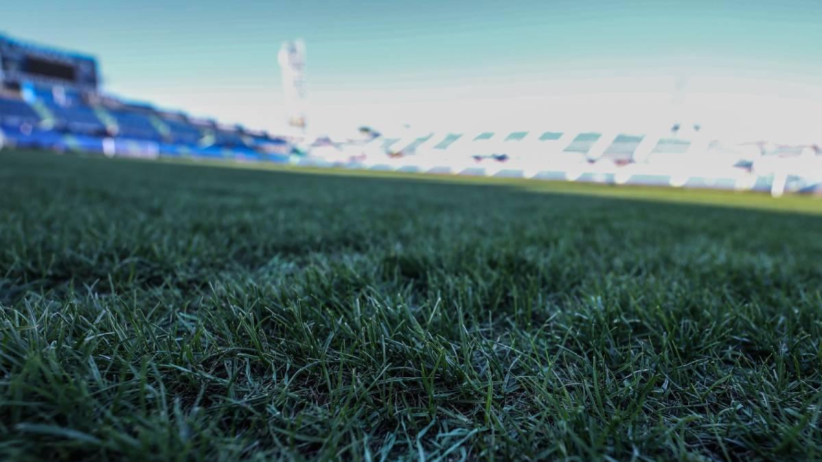 Imagen ampliada del césped del Coliséum Alfonso Pérez