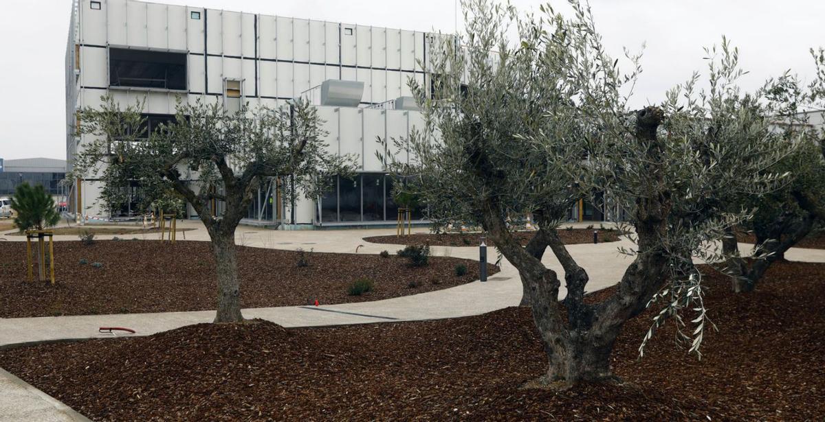 Vista exterior del edificio de oficinas, rodeadas de 40 olivos.  | JAIME GALINDO
