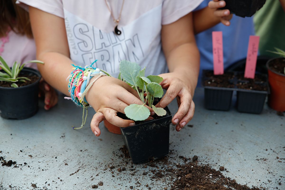 Taller de jardinería para la familia en el jardín botánico