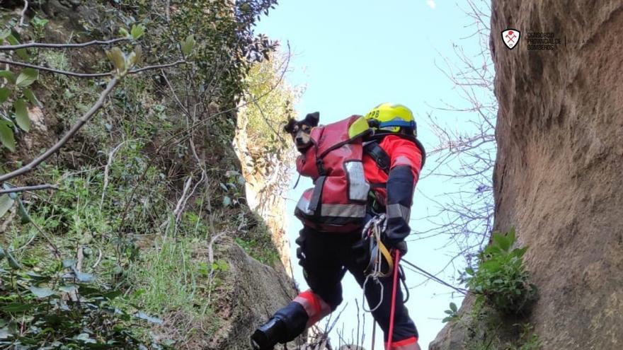 Bomberos del Consorcio Provincial rescatan a un perro atrapado en una cascada