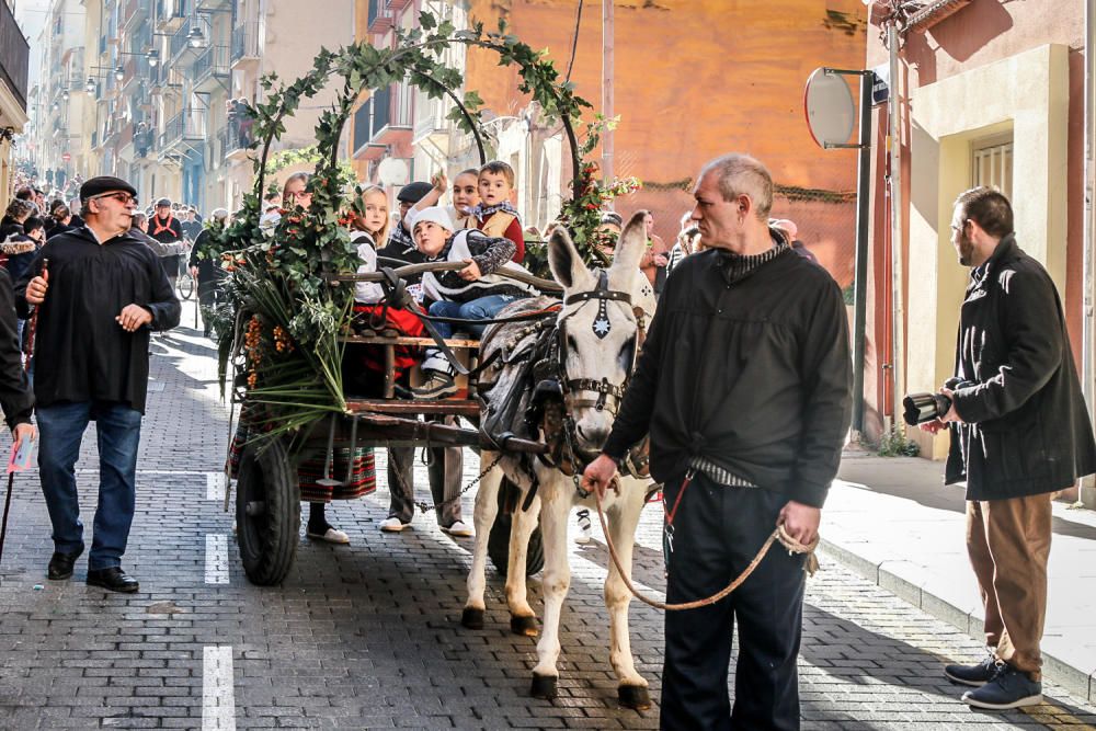 «Les Pastoretes» adoran al Niño en Alcoy