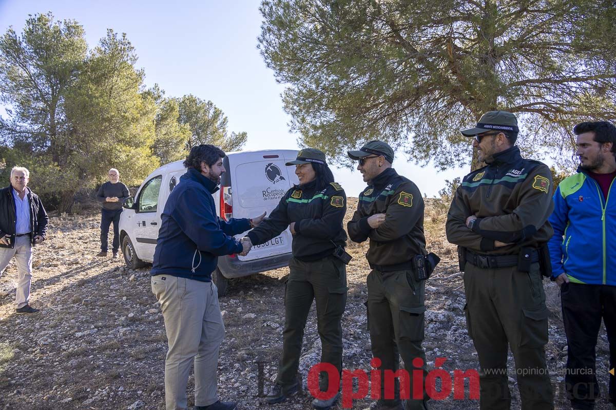 Suelta de dos buitres leonados en la Sierra de Mojantes en Caravaca