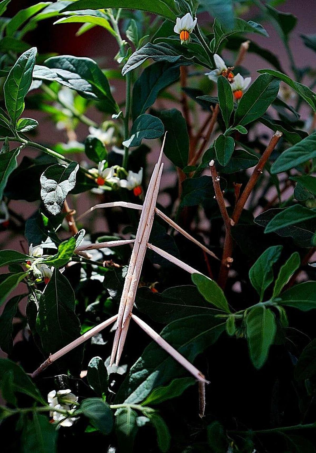 Retos fotográficos para ejercitar la creatividad