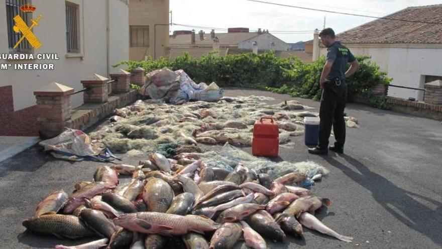 Intervienen dos toneladas de peces pescados en el embalse de Mequinenza