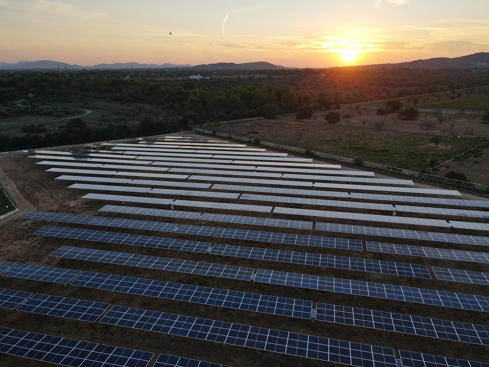 Visita al mayor parque fotovoltaico de España