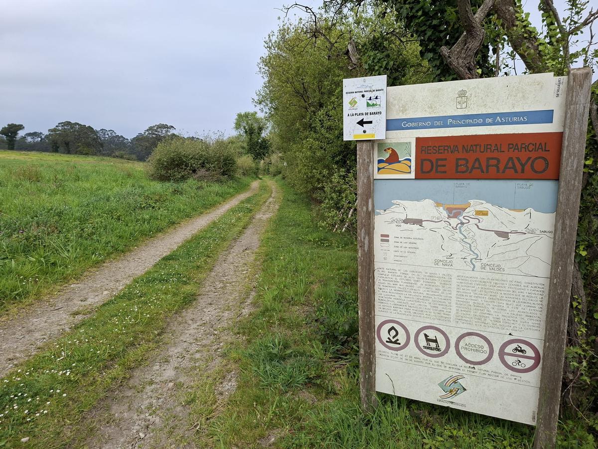 En imágenes: El Principado plantea la mejora del aparcamiento y el acceso a Barayo desde el lado de Valdés