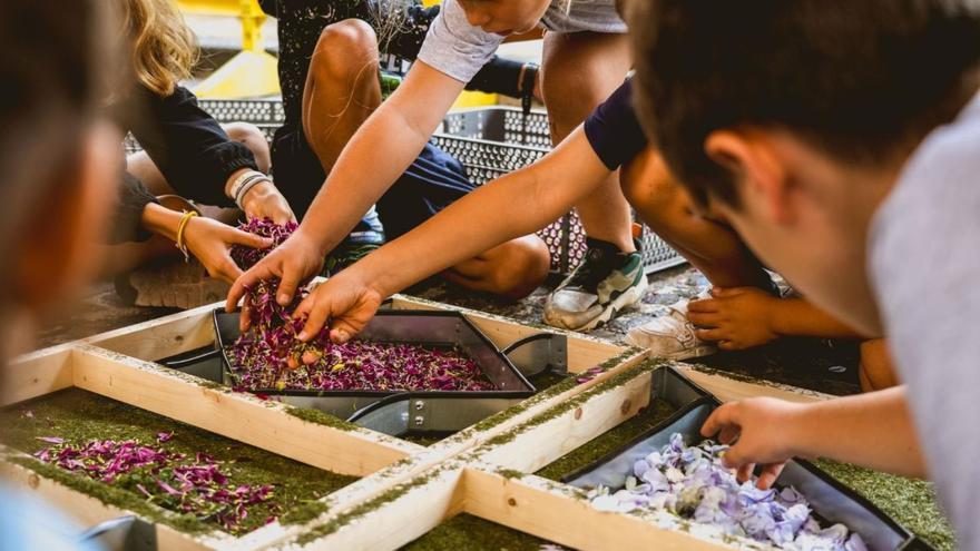 Un grupo de niños y niñas aprenden a elaborar alfombras de flores. | E. D.