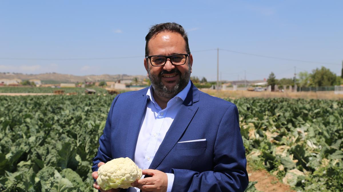 Pedro Tallón, director regional Levante, con una coliflor en el campo de un agricultor proveedor de Serunion.