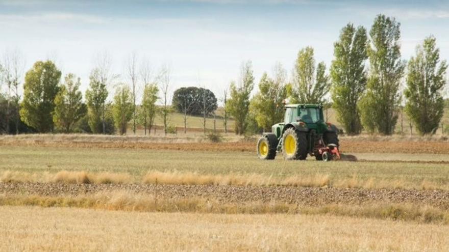 La sequía ya está golpeando duramente al campo andaluz.