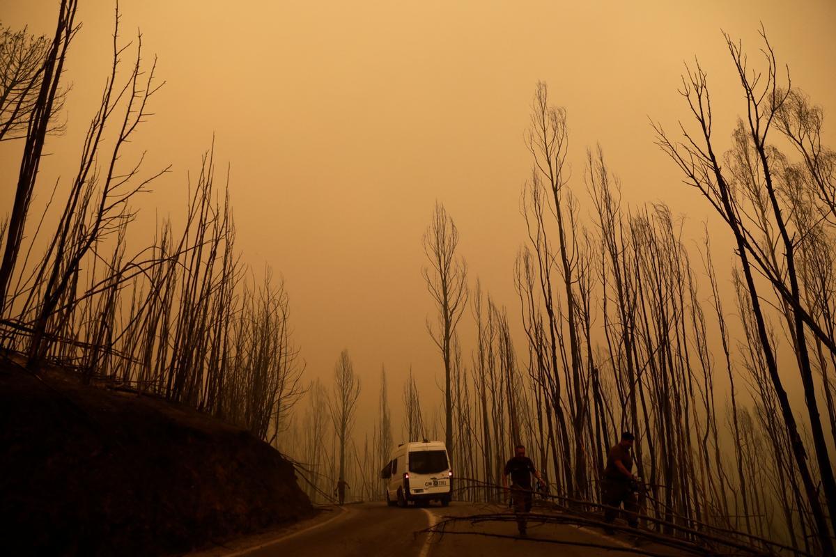 Los incendios que arrasan Chile dejan ya más de 20 muertos