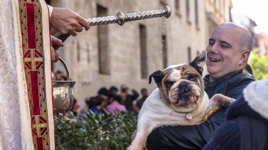 Una de las &#039;beneÃ¯des&#039; de Mallorca.