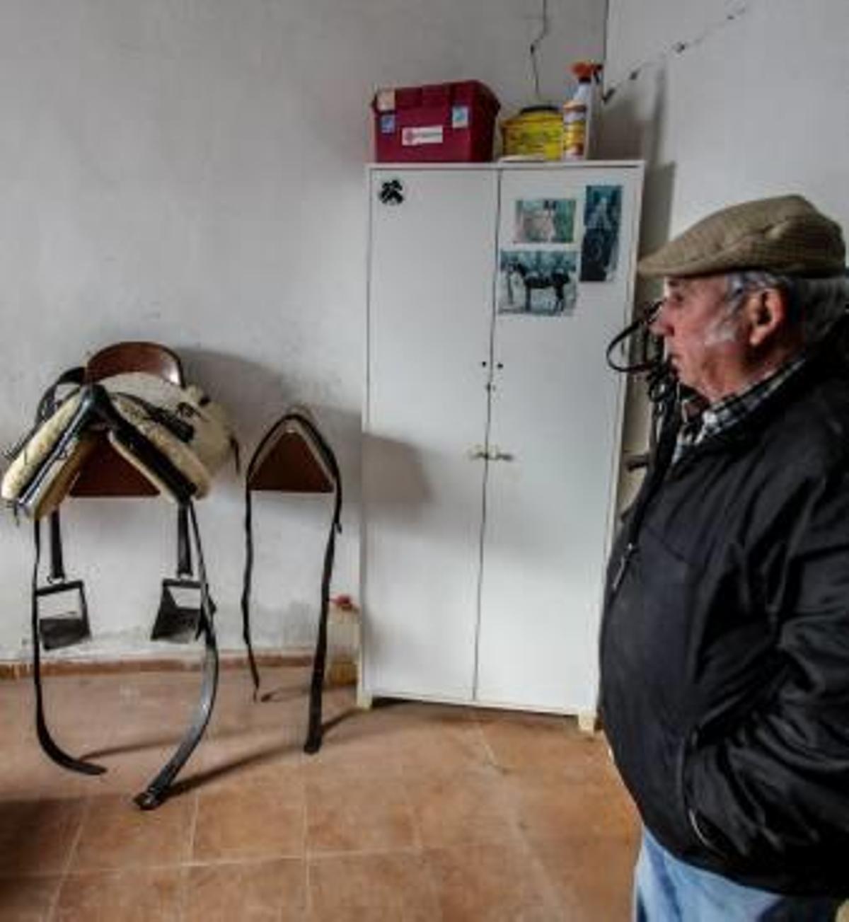 Roban medio centenar de monturas de caballo en clubes hípicos de seis localidades