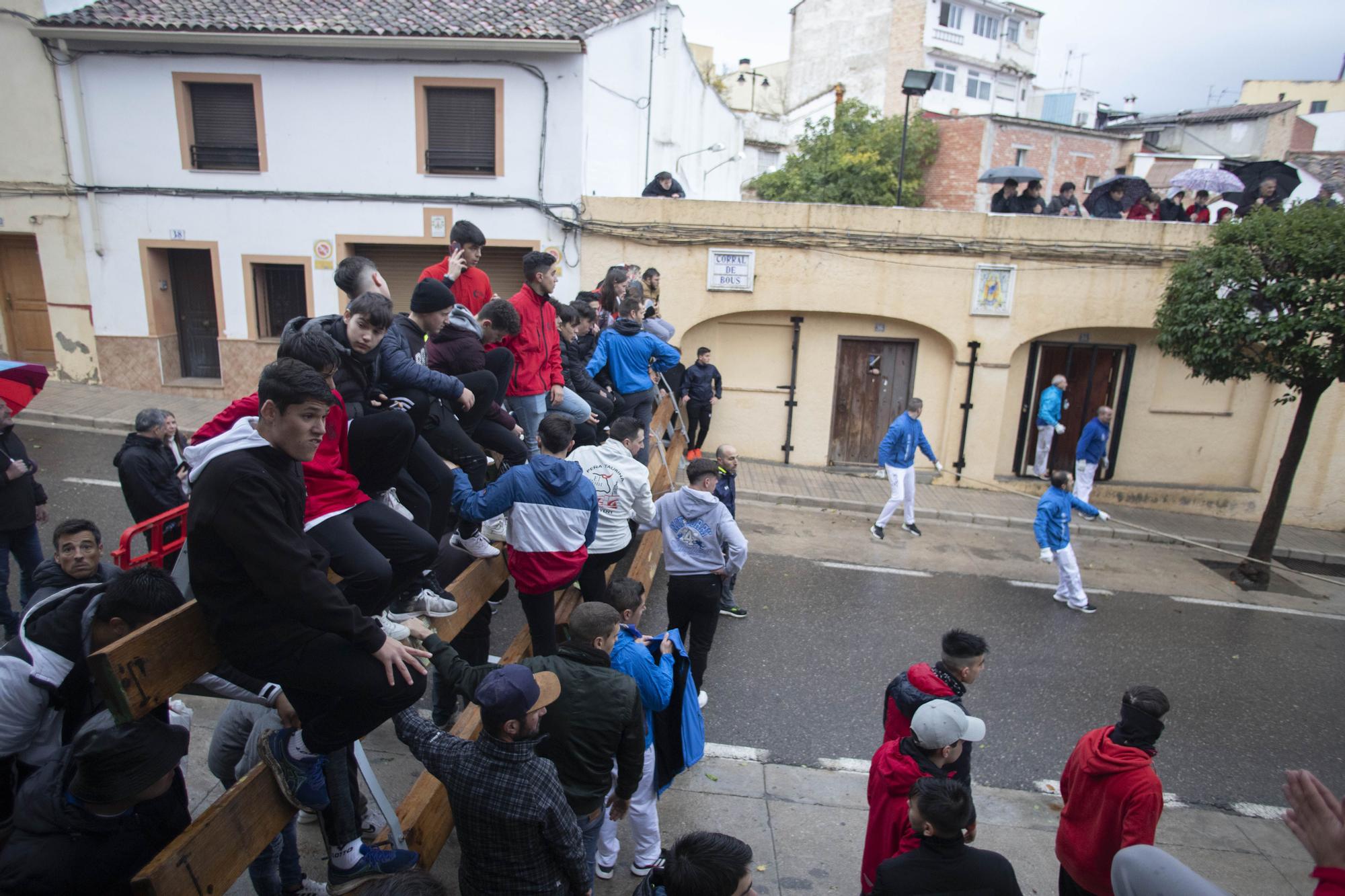 El "Bou en corda" vuelve al Pont Vell de Ontinyent