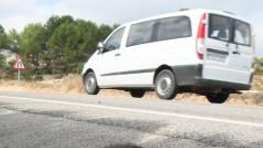 Las carreteras causan el 66 % de las muertes de animales salvajes