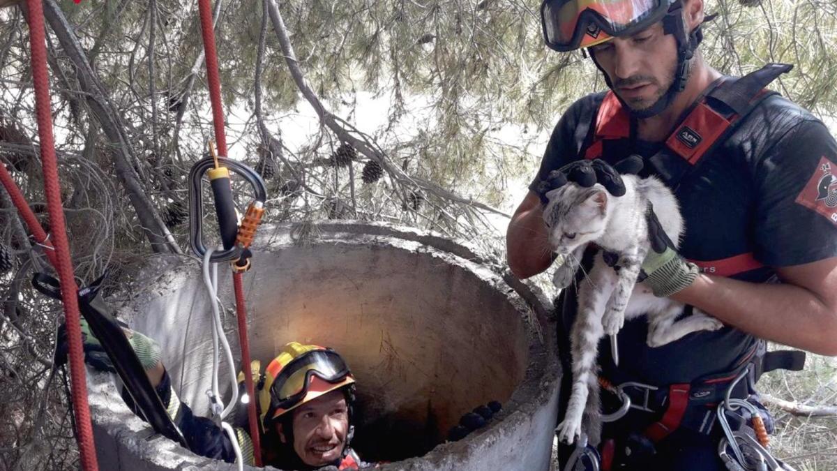 Rescatan a un gato de un pozo de seis metros en Albatera