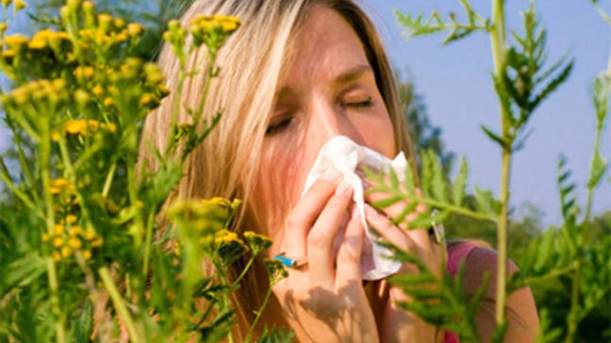 Se prepara una primavera de alto riesgo para los alérgicos.