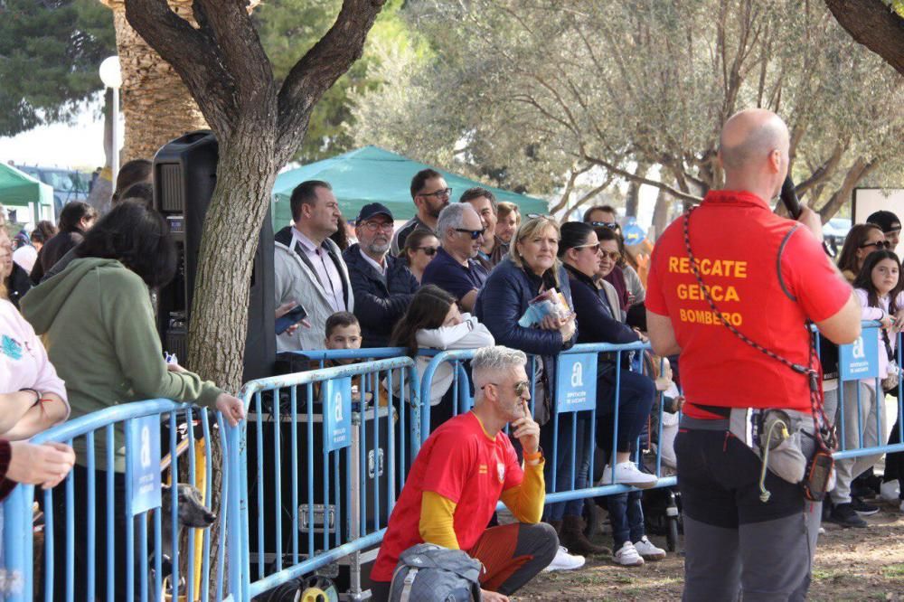 Festival de la Adopción de Perros de El Campello