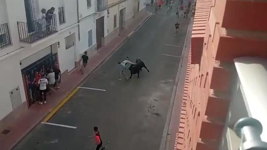 Escalofriante cogida en los &#039;bous al carrer&#039; en la Comunitat