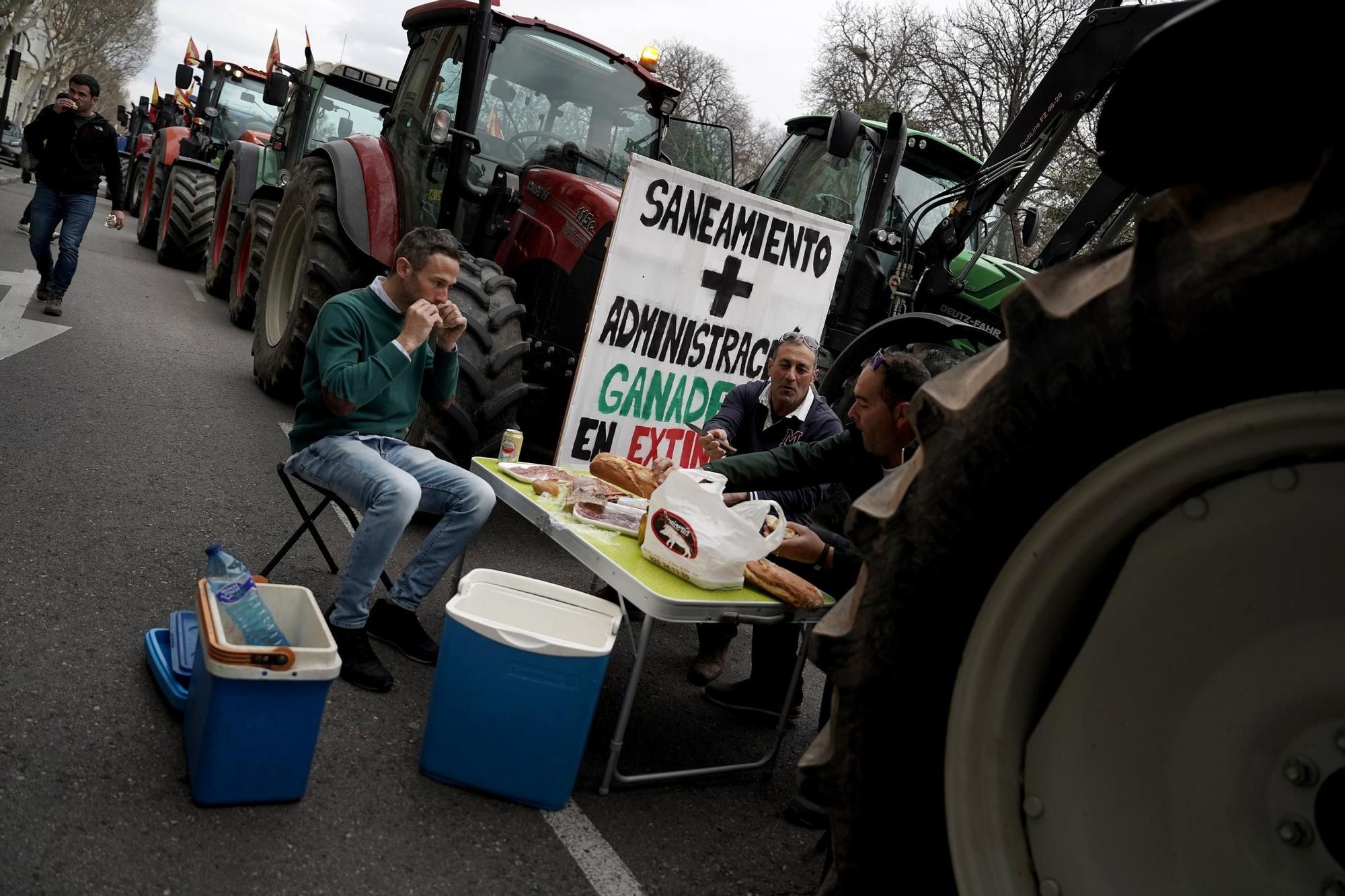 Manifestación de agricultores en Madrid, en imágenes