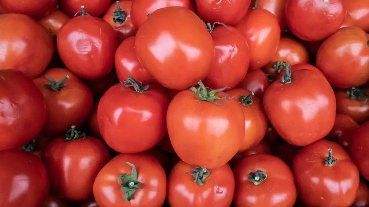 El gazpacho y salmorejo más natural del mercado son estos