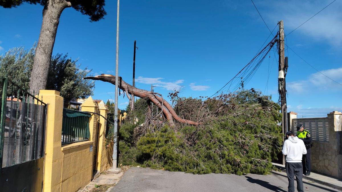 Caída de un árbol en un chalet de Torrent.
