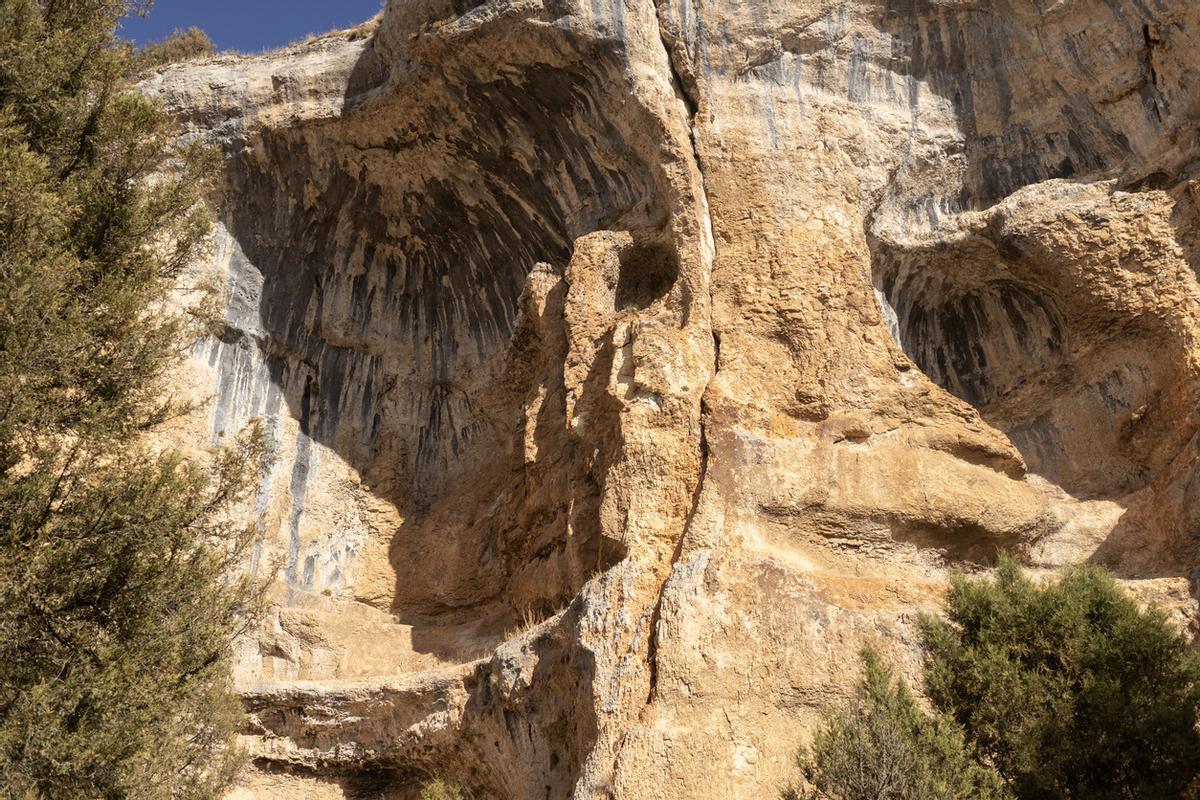 Formación rocosa caliza con orificios en Cañón del Río Lobos