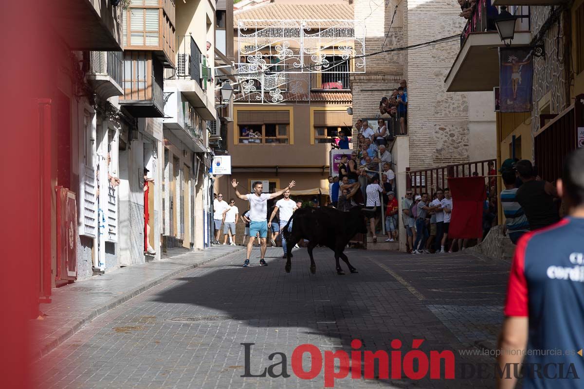 Séptimo encierro de las Fiestas de Moratalla