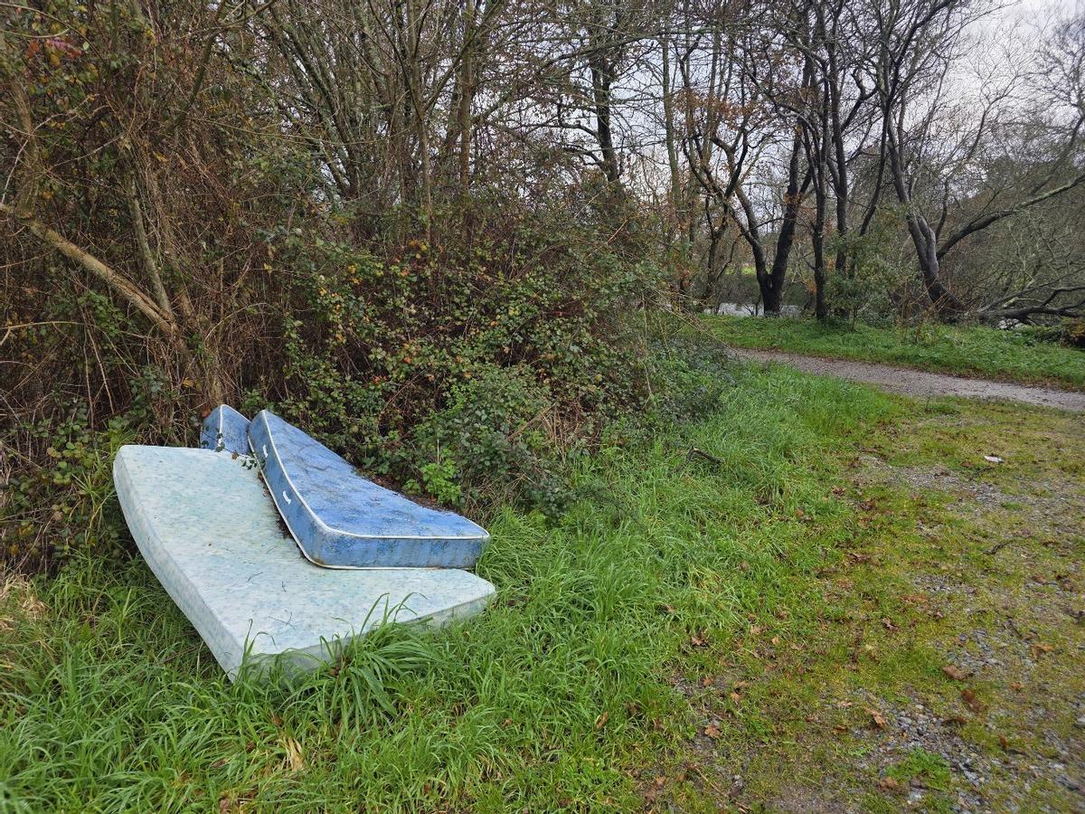 Colchones tirados a orillas del Umia.