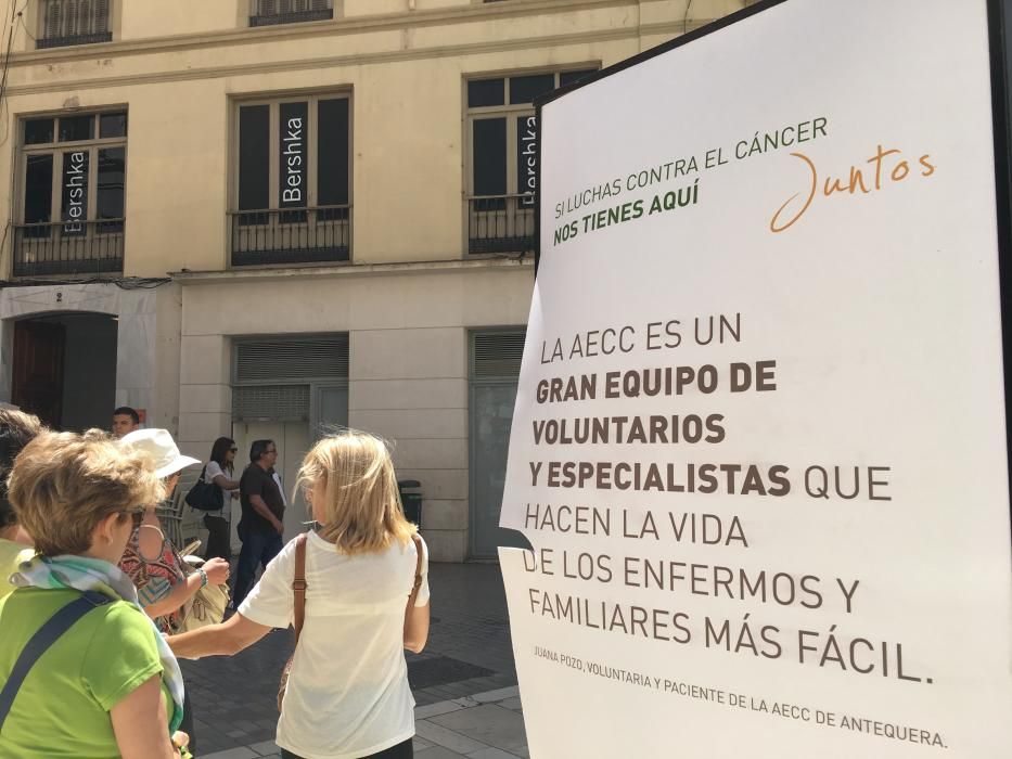 Daños en la exposición de la AECC en la calle Larios.